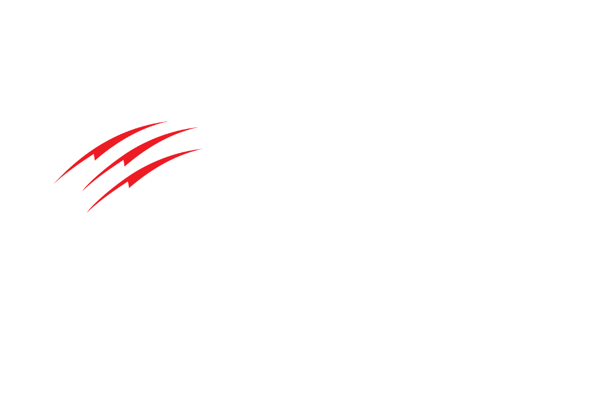 Fierce Firearms
